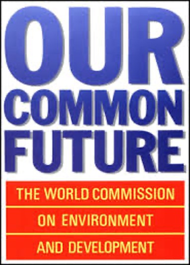 レポート「Our Common Future」表紙