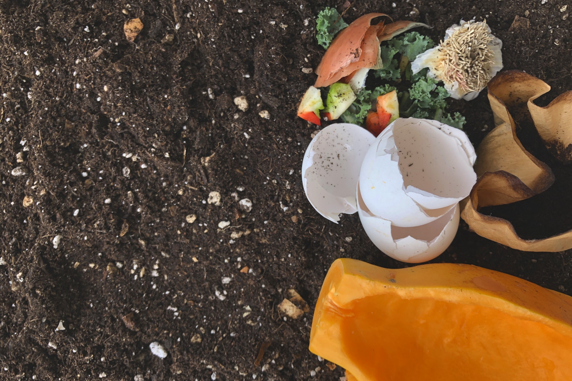 食物廃棄物の再利用