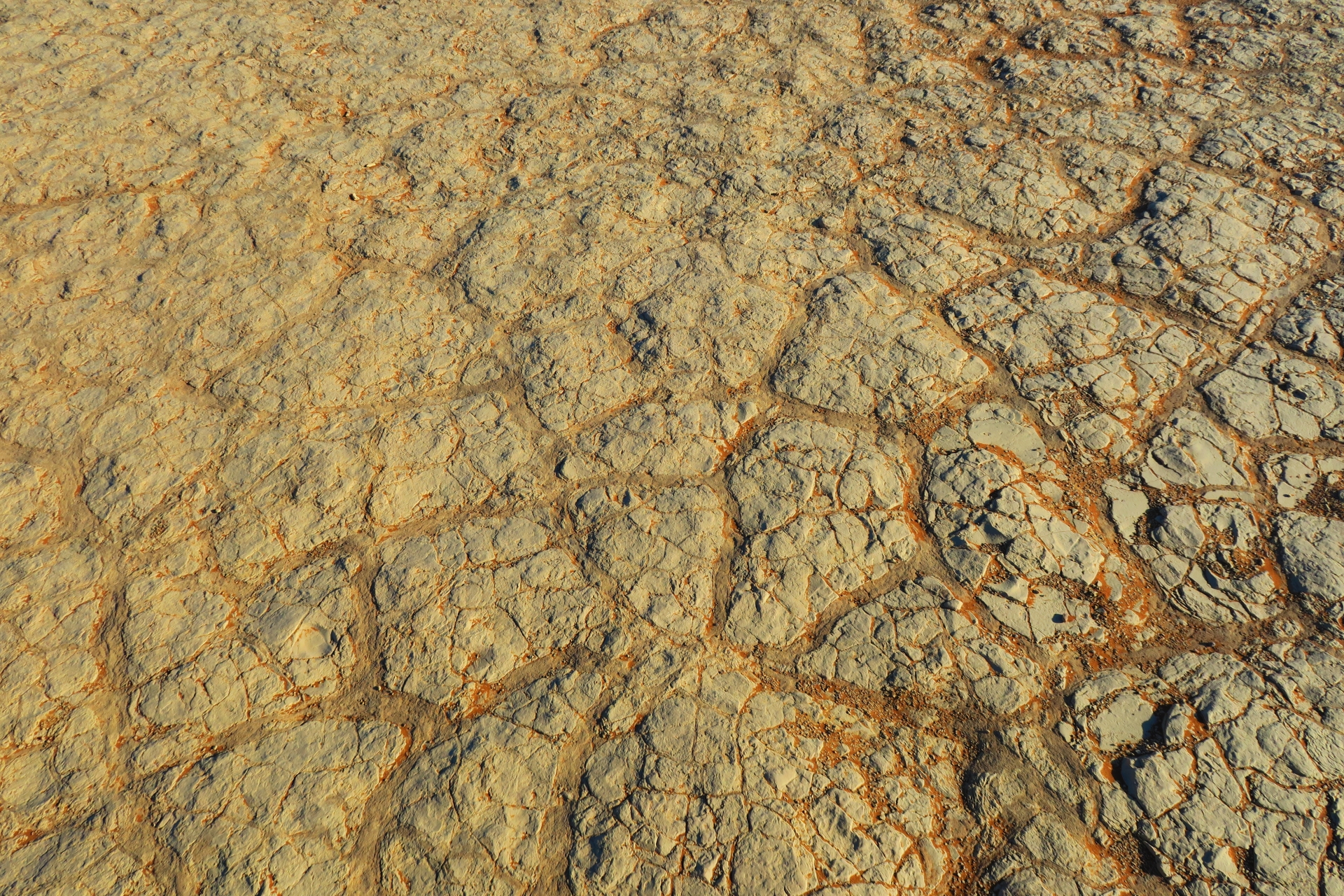 干上がった土地