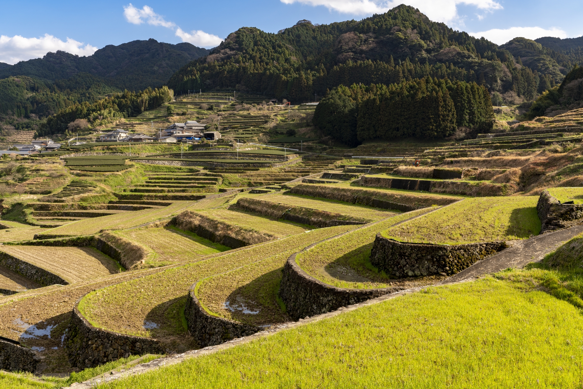 美しい棚田