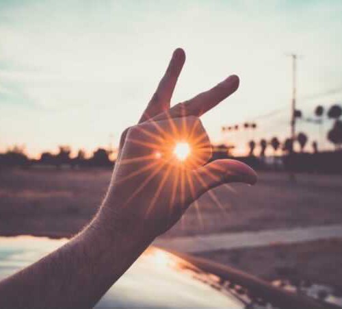 エシカルな視点