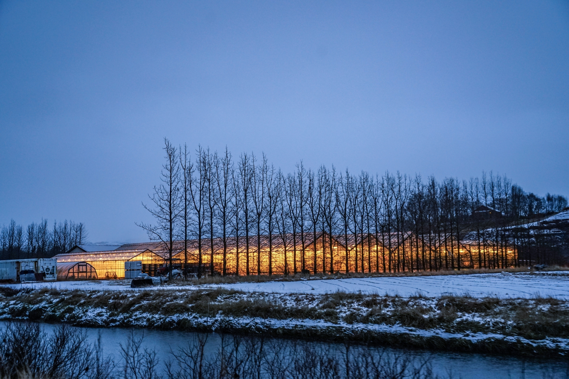 アイスランドのビニールハウス