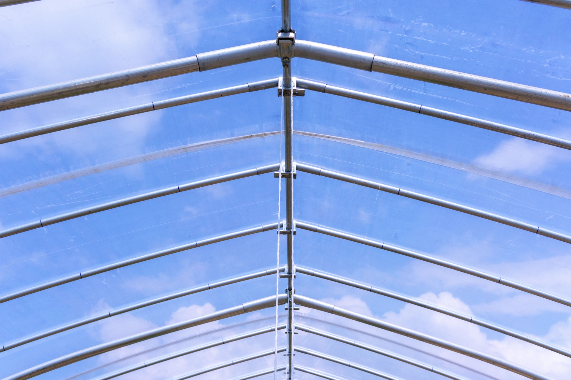 温室からみた空