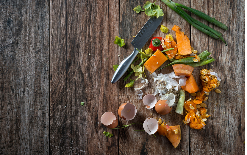 コンポスト　廃棄野菜くず