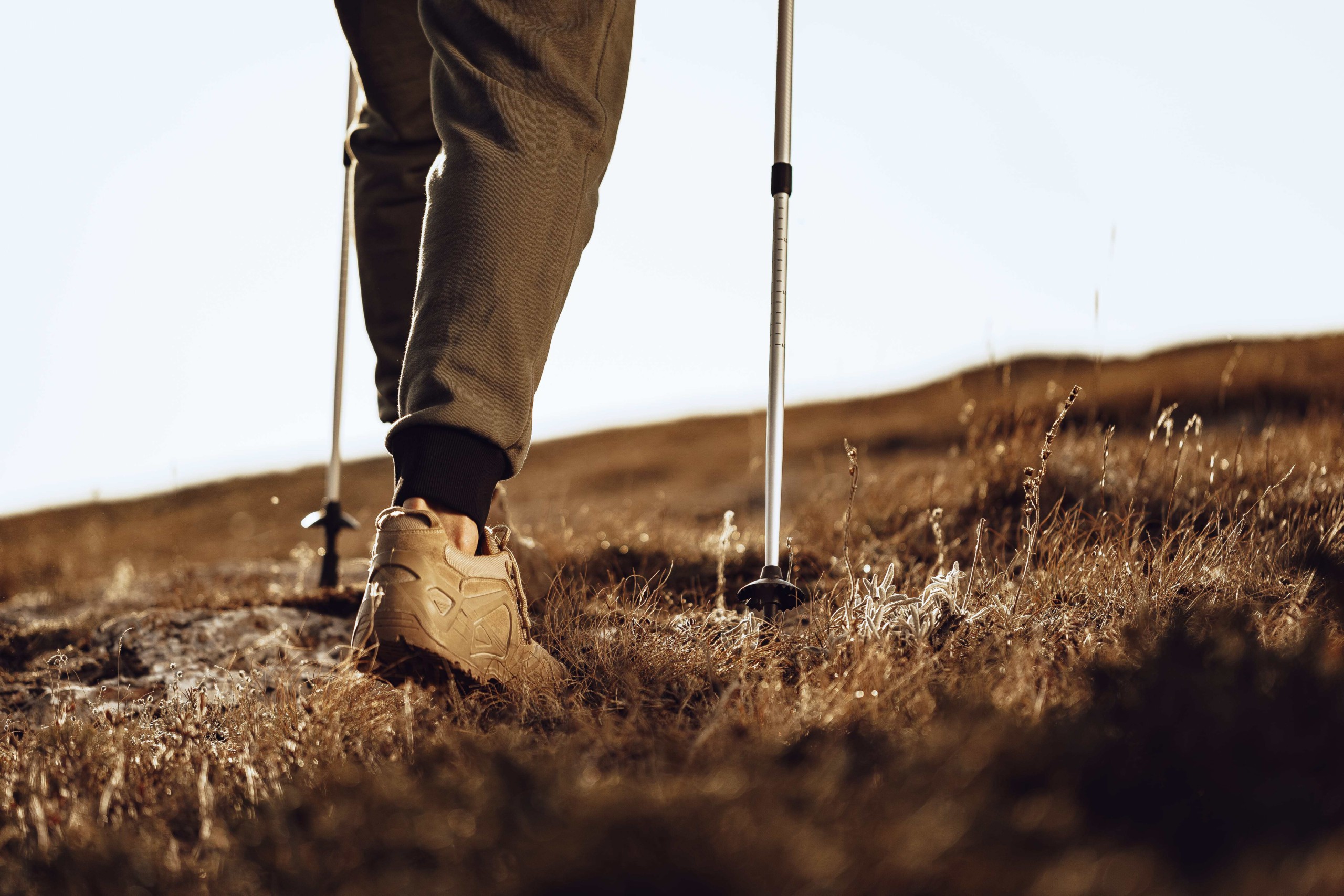 ハイキング　登山　森