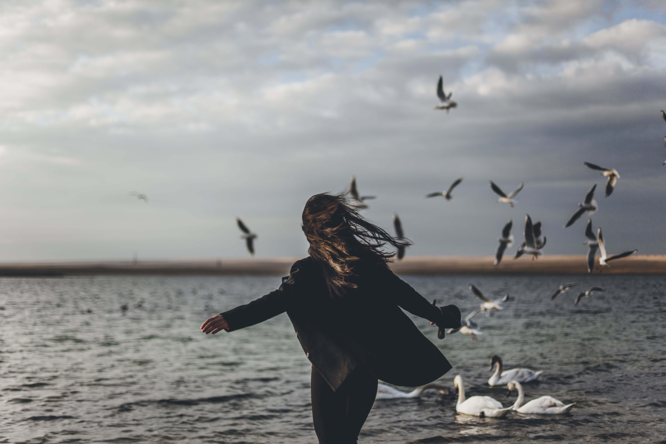 生物多様性　陸の豊かさも守ろう