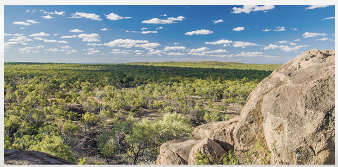 ニューサウスウェールズ州環境遺産局