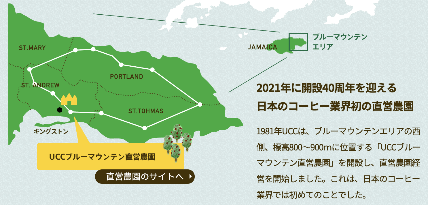 UCCブルーマウンテンコーヒー 直営農園
