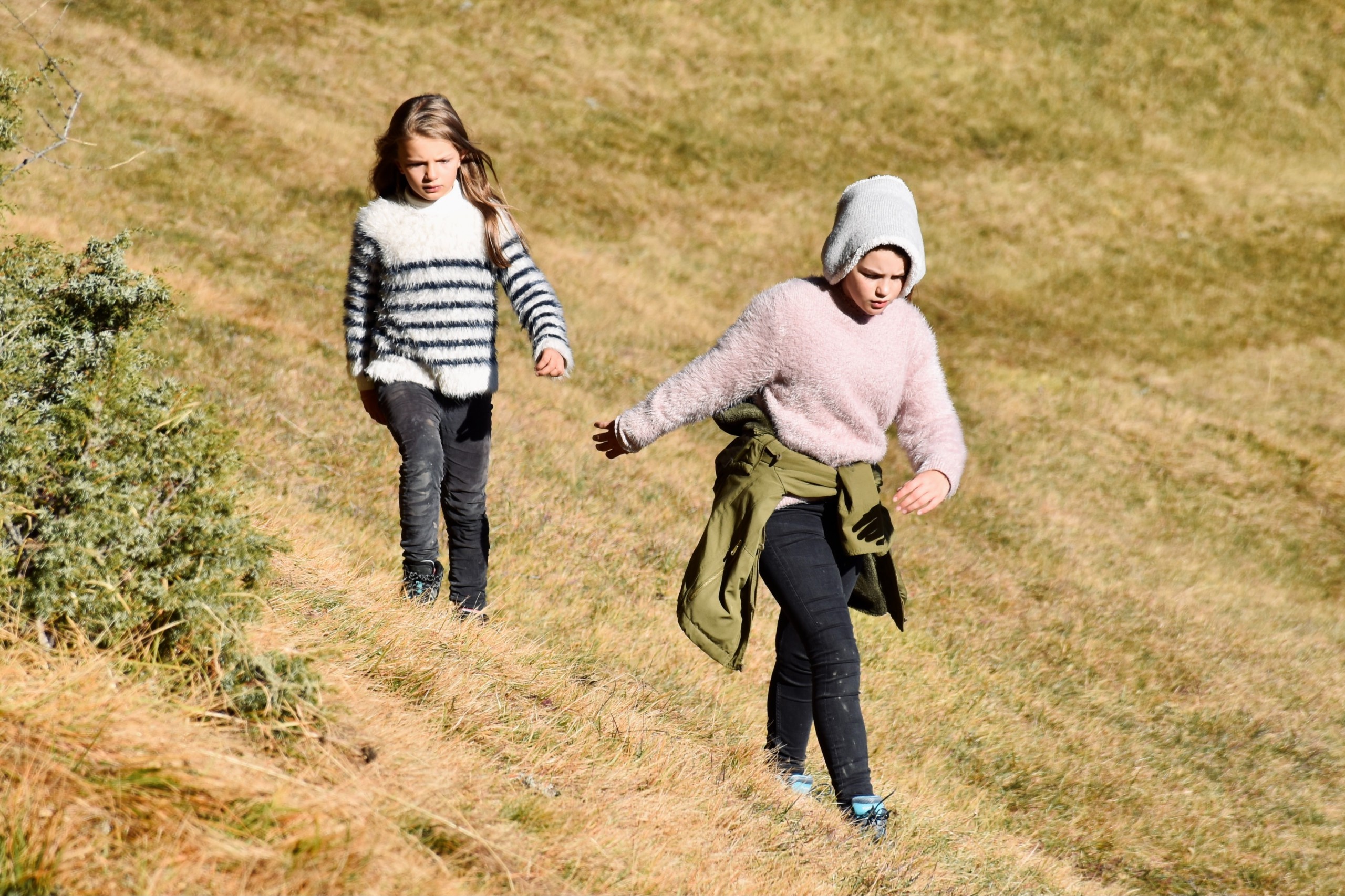 セーター　メリノ　ウール　草原