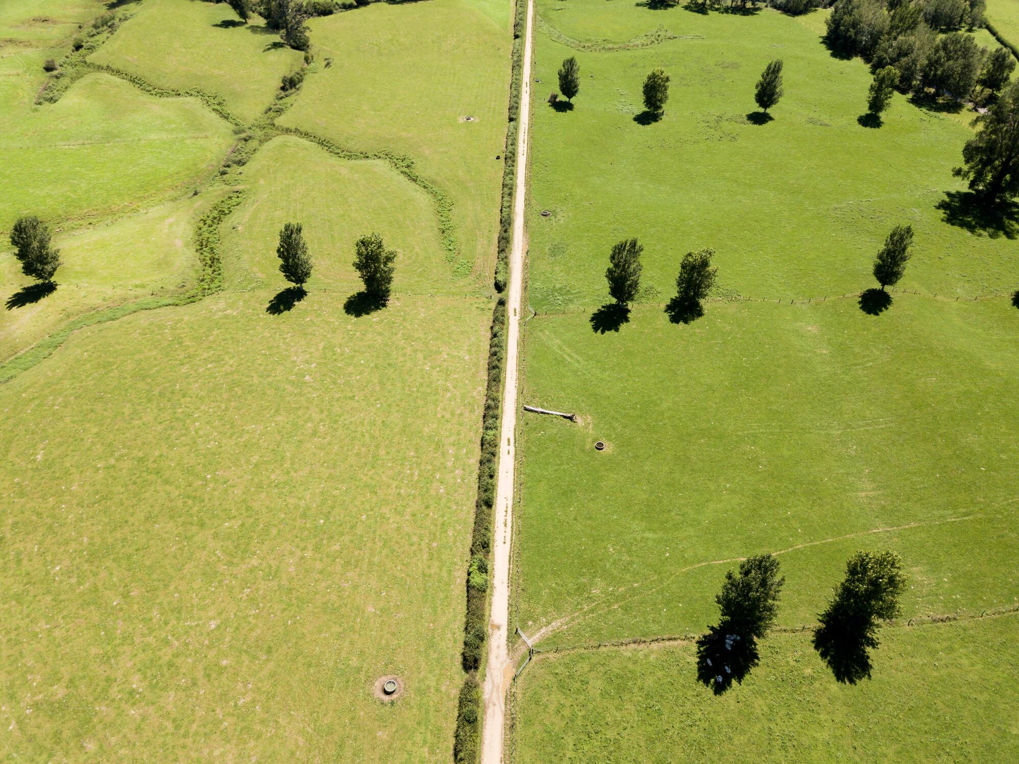 牧場　ウール　ひつじ　メリノ