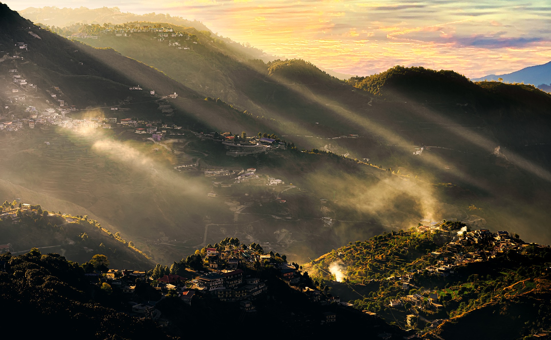 山火事　CO2　カーボン